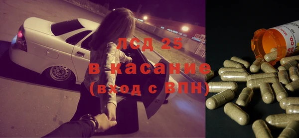 ПСИЛОЦИБИНОВЫЕ ГРИБЫ Верхний Тагил