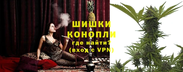 ПСИЛОЦИБИНОВЫЕ ГРИБЫ Верхний Тагил