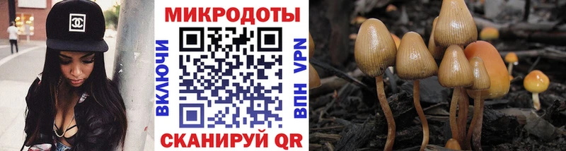 Галлюциногенные грибы Magic Shrooms  Набережные Челны 